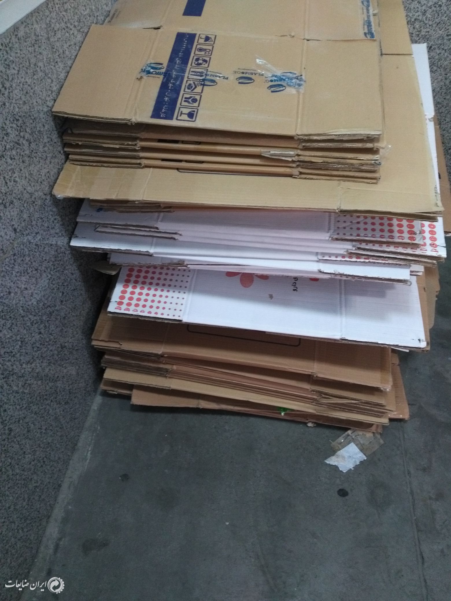 کارتن دونه ای