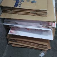 کارتن دونه ای