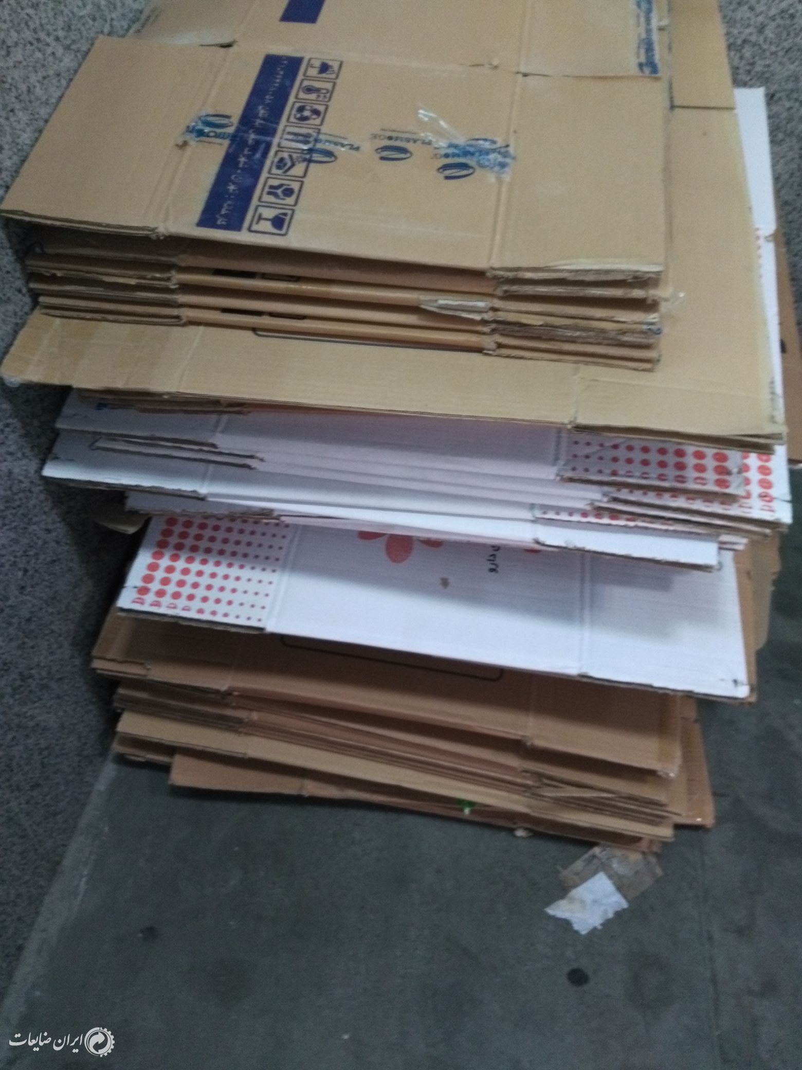 کارتن دونه ای