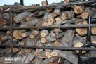 فروش انواع ضایعات چوب