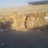 خرید ضایعات کارتن و کاغذ (نقدی)