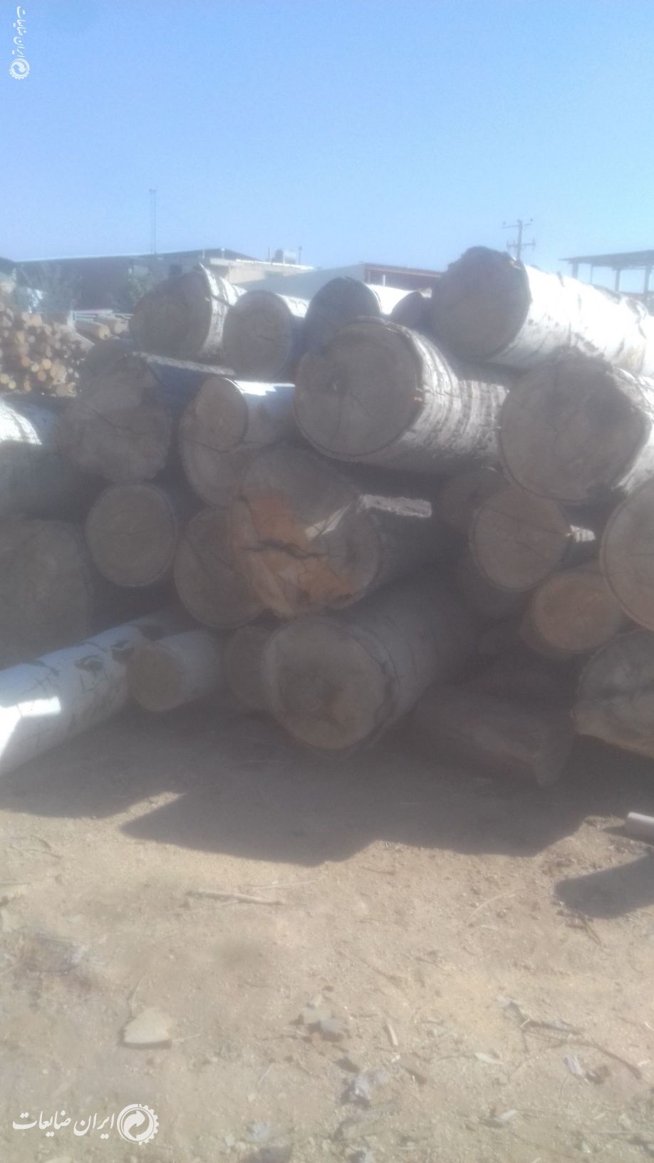 فروش تنه چوب