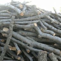 فروش انواع ضایعات چوب