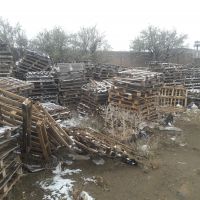 فروش پالت چوبی 90 در 110 حدود 800 عدد