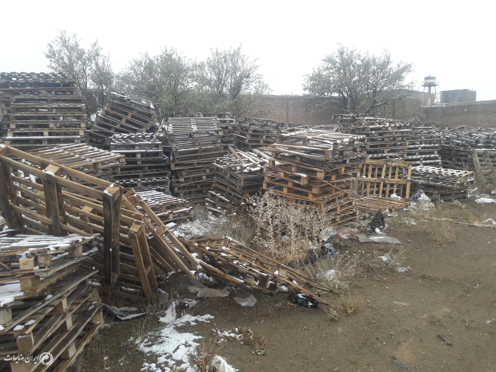 فروش پالت چوبی 90 در 110 حدود 800 عدد