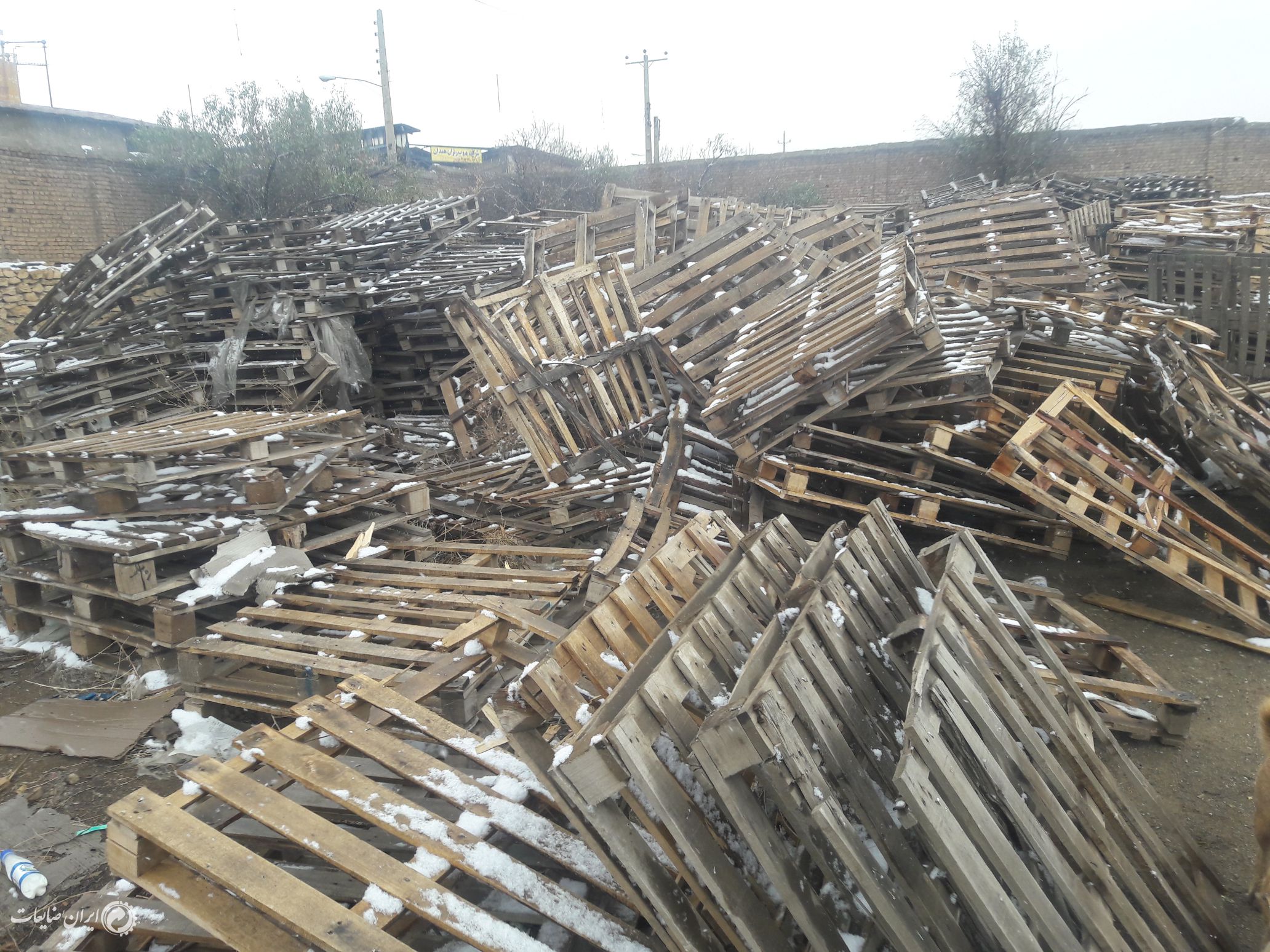 فروش پالت چوبی 90 در 110 حدود 800 عدد