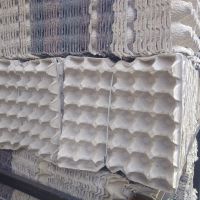 فروش کارتن شانه تخم مرغ