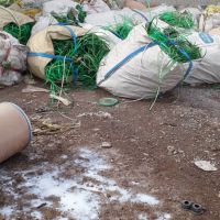 ضایعات تسمه