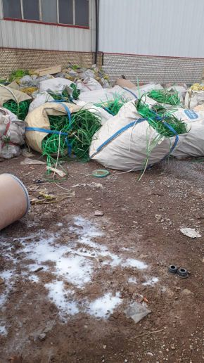 ضایعات تسمه