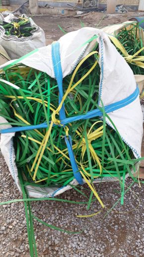 ضایعات تسمه