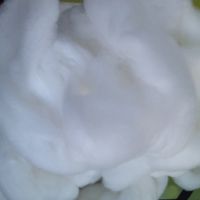 فروش الياف سلولزي