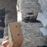 فروش فرم و پوشال کتاب دفتر