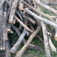 خریدار چوب بریده شده اماده بار