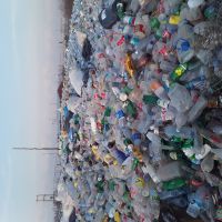 فروش 8تن پت زنده و فله