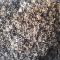 بست داربست 2000عدد