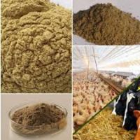 فروش پودر ماهی، پودر گوشت و پودر ترکیبی