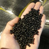 فروش گرانول پی 40و پی 80و پی 100