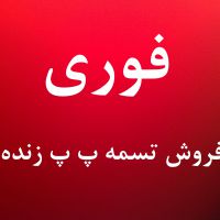 تسمه پ پ زنده