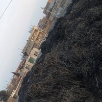 فروش نوار تیپ