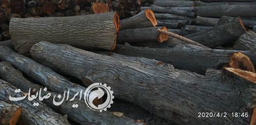 فروش چوب باغی,گردو,سپیدار,ضایعات چوب