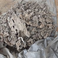 خرید شلاکه