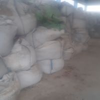 فروش کنسانتره سرب 50درصدهیدراته