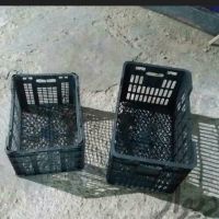 خریدار سبد میوه درهم