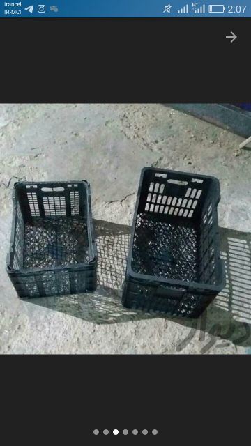 خریدار سبد میوه درهم