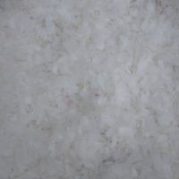 خریدار بادی آسیابی بیرنگ پرک و راگا