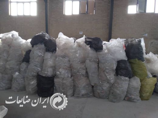 فروش پت زنده