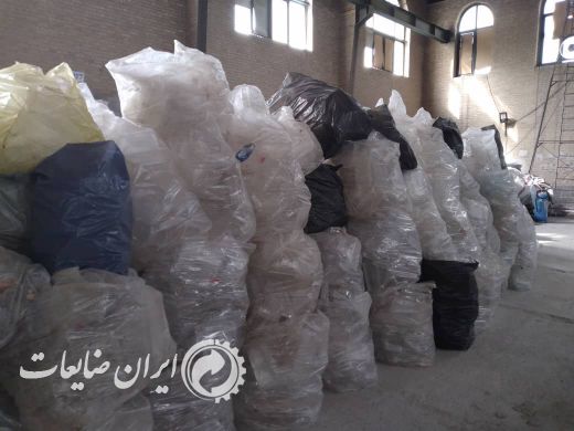 فروش پت زنده