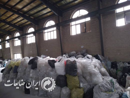 فروش پت زنده