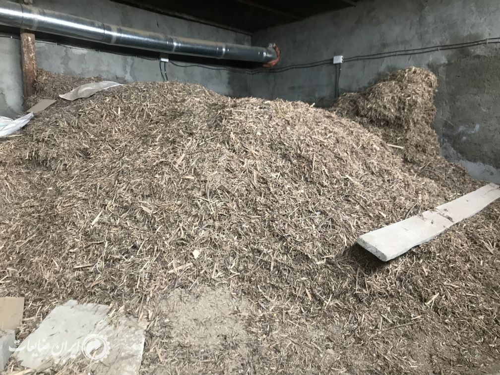 فروش چيپس چوب و سرشاخه