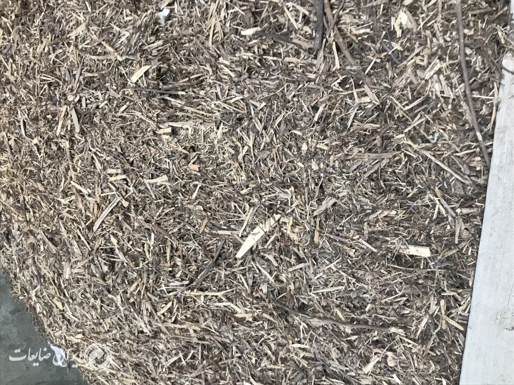 فروش چيپس چوب و سرشاخه