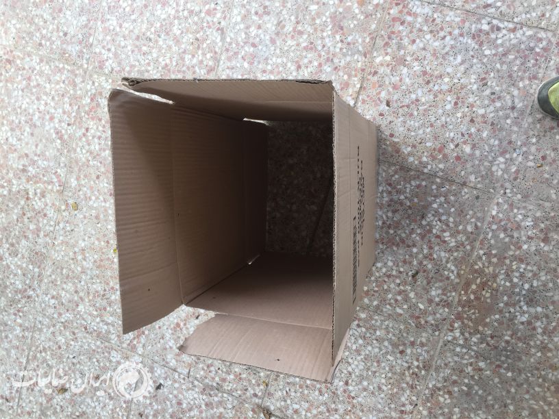 کارتن تک خارجی و ایرانی