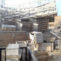 حوالی 40 تن انواع چوب