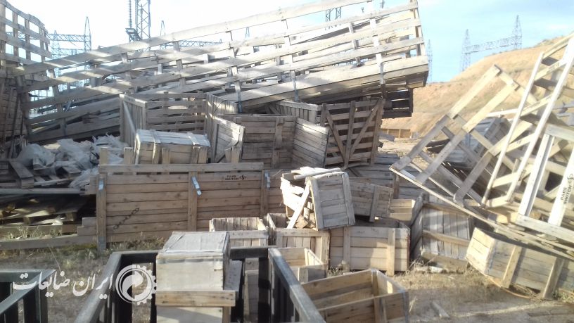 حوالی 40 تن انواع چوب