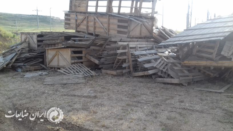 حوالی 40 تن انواع چوب