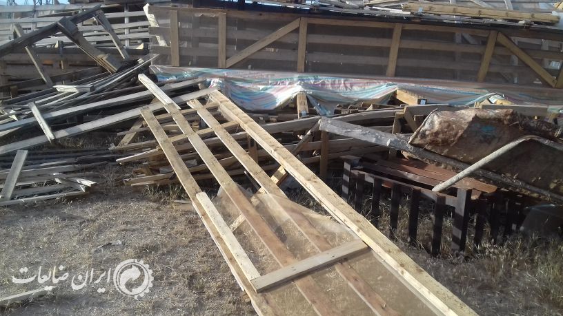 حوالی 40 تن انواع چوب