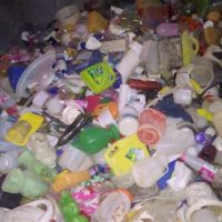 فروش بادی زنده