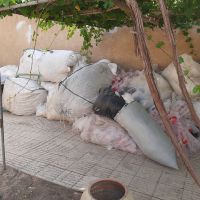 ضایعات نایلون حبابی ساده و تمیز شرکتی