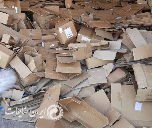 کارتن تمیز
