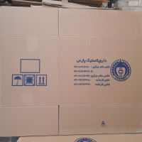 فروش کارتن سالم