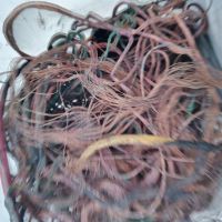 خریدار انواع ضایعات