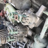 شیر برقی سالم