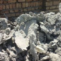 خرسک کوچک یا شلاکه