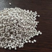 PP طوسی روشن