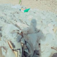 نایلون پالتی گلخانه ای