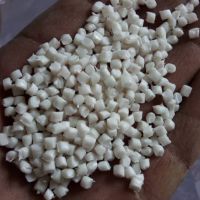 فروش گرانول بادی راگا
