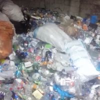 فروش لاک و پت به همراه بادی